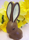 a picture of Big Ears, a chocolate bunny rabbit