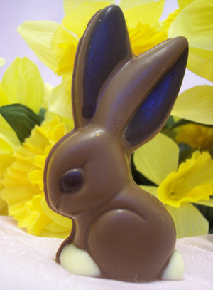 a picture of Junior, a milk chocolate bunny rabbit decorated with white and dark chocolate.