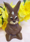 a picture of Thumper, a chocolate bunny rabbit